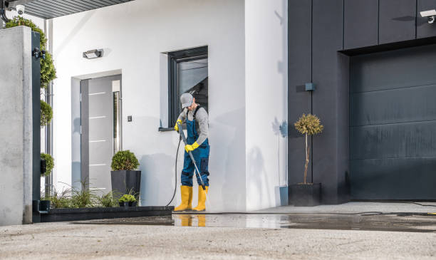 Best Fence Cleaning  in East Jordan, MI